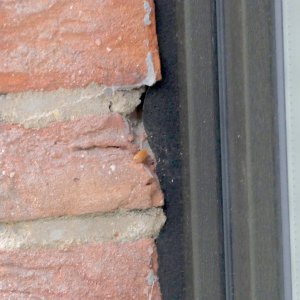 fenster