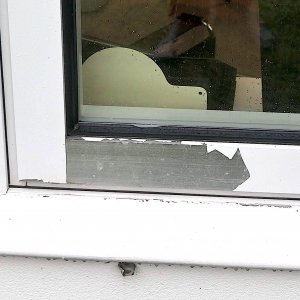 fenster