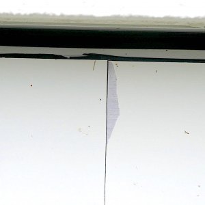 fenster