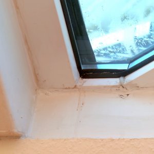 fenster