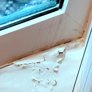 fenster