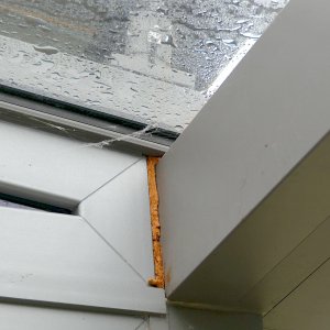 fenster